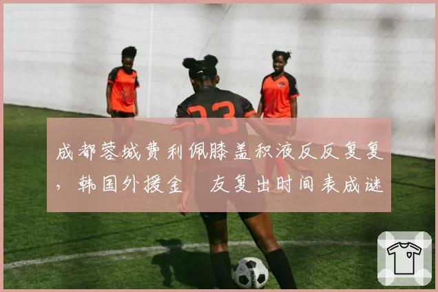 成都蓉城费利佩膝盖积液反反复复，韩国外援金敃友复出时间表成谜