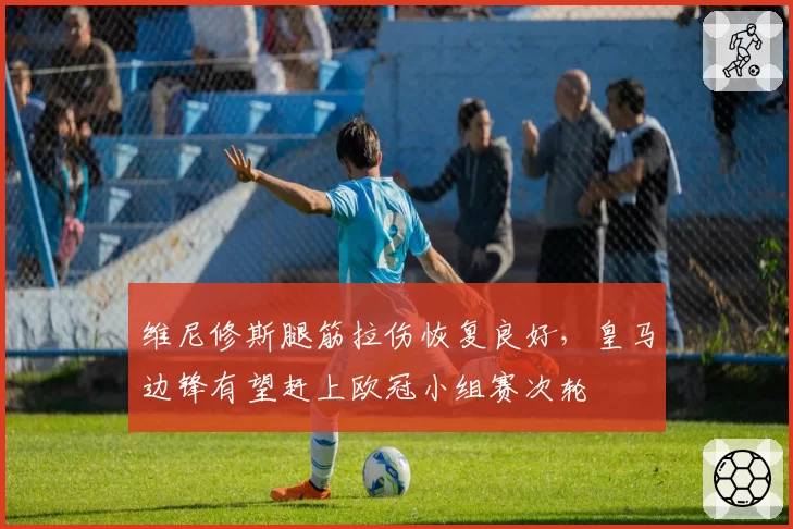 维尼修斯腿筋拉伤恢复良好，皇马边锋有望赶上欧冠小组赛次轮
